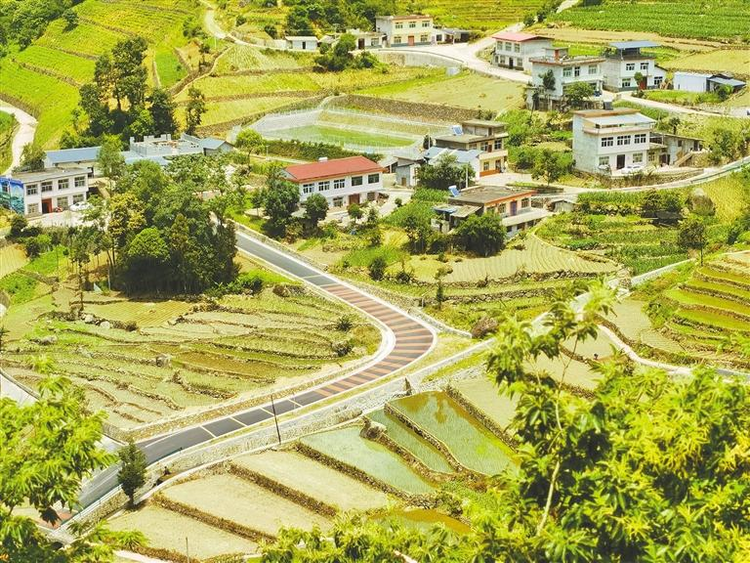 安康市嵐皋縣：做足山水文章 推動農旅融合_fororder_圖片57