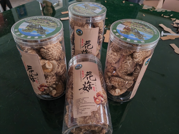 榆林府谷縣10萬廢棄花菇菌棒資源化利用變有機肥_fororder_微信圖片_20230625152942
