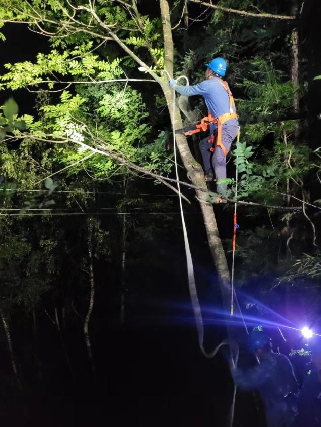 國網陜西電力：迎峰度夏保供電 優質服務護清涼_fororder_圖片3