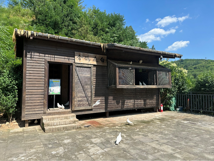 西安：融合賦能文旅“出圈” 千年古都“西”引力拉滿_fororder_圖片15