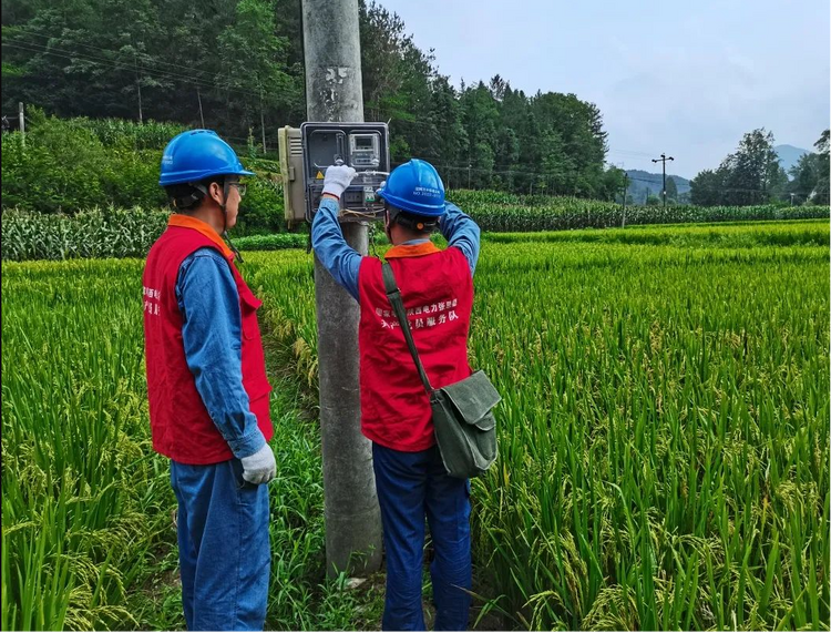 國網陜西電力：“紅馬甲”貼心服務 助力鄉村振興