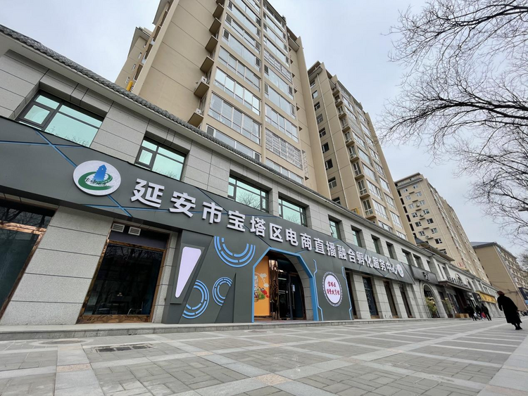 三秦潮起新征程 “數字延安”弄新潮_fororder_圖片4