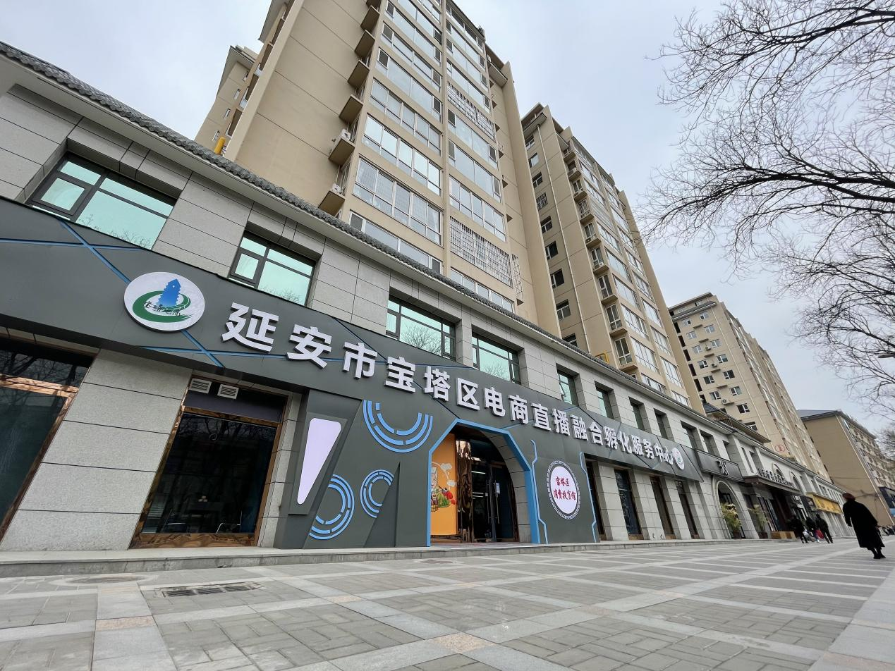 三秦潮起新征程 “數字延安”弄新潮_fororder_圖片4