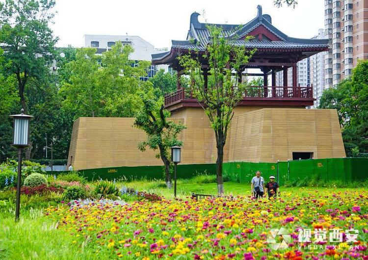 打卡興慶宮公園花海