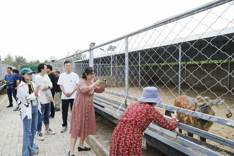 黃陵縣阿黨鎮：致富新“鹿”子 回鄉創業一“鹿”高歌