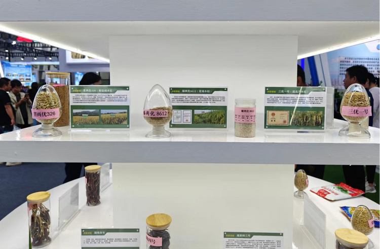 弘揚袁隆平精神 湖南攜種業“硬核”成果亮相第30屆農高會_fororder_圖片11