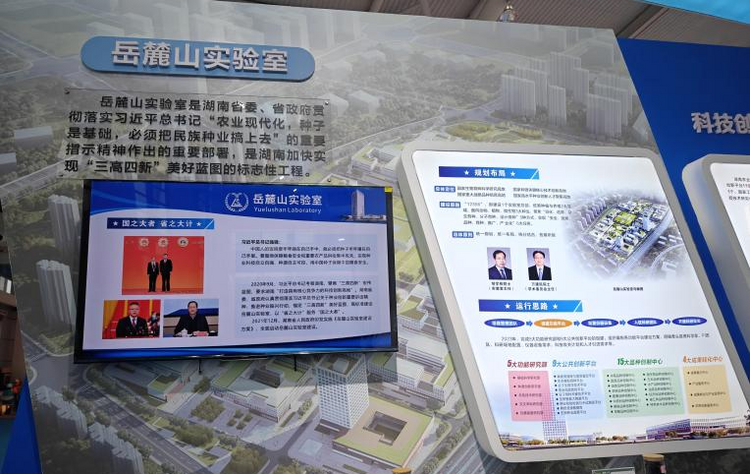 弘揚袁隆平精神 湖南攜種業“硬核”成果亮相第30屆農高會_fororder_圖片9