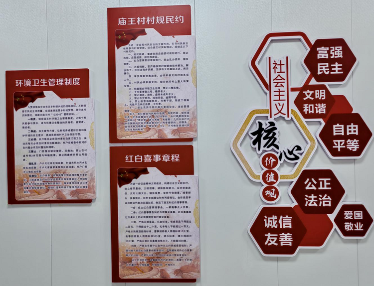 渭南市臨渭區廟王村：“農”墨重彩繪就宜居宜業和美鄉村新畫卷_fororder_圖片4