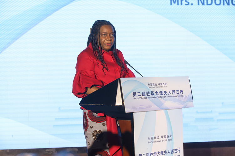 多國駐華大使夫人緣聚西安 共赴一場絲路之約_fororder_圖片5