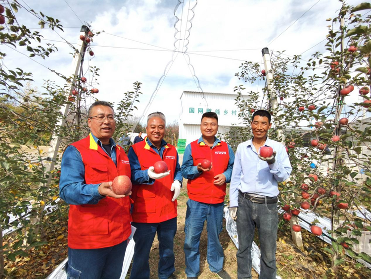 國網延安供電公司助力鄉村振興：度古村的“蘋果紅了”_fororder_圖片5