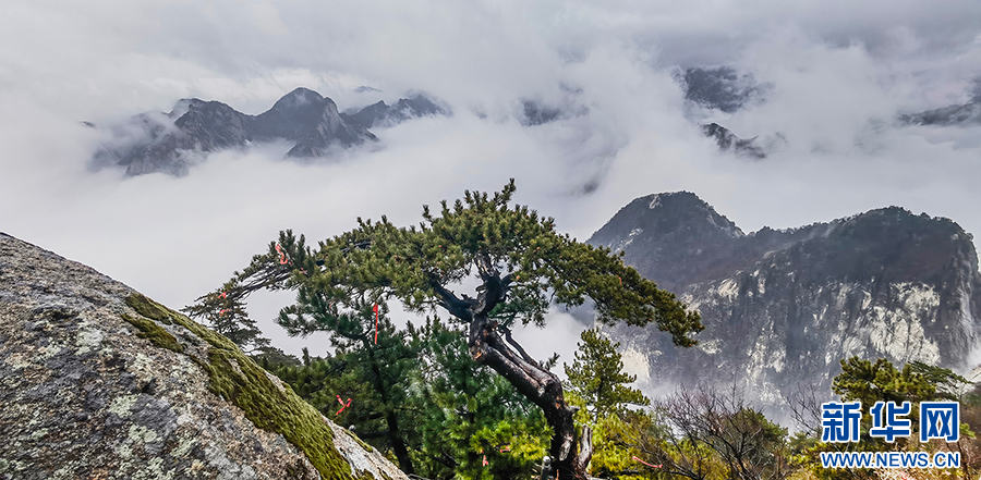 雲霧繞山間 華山冬日美_fororder_微信圖片_20231213092955