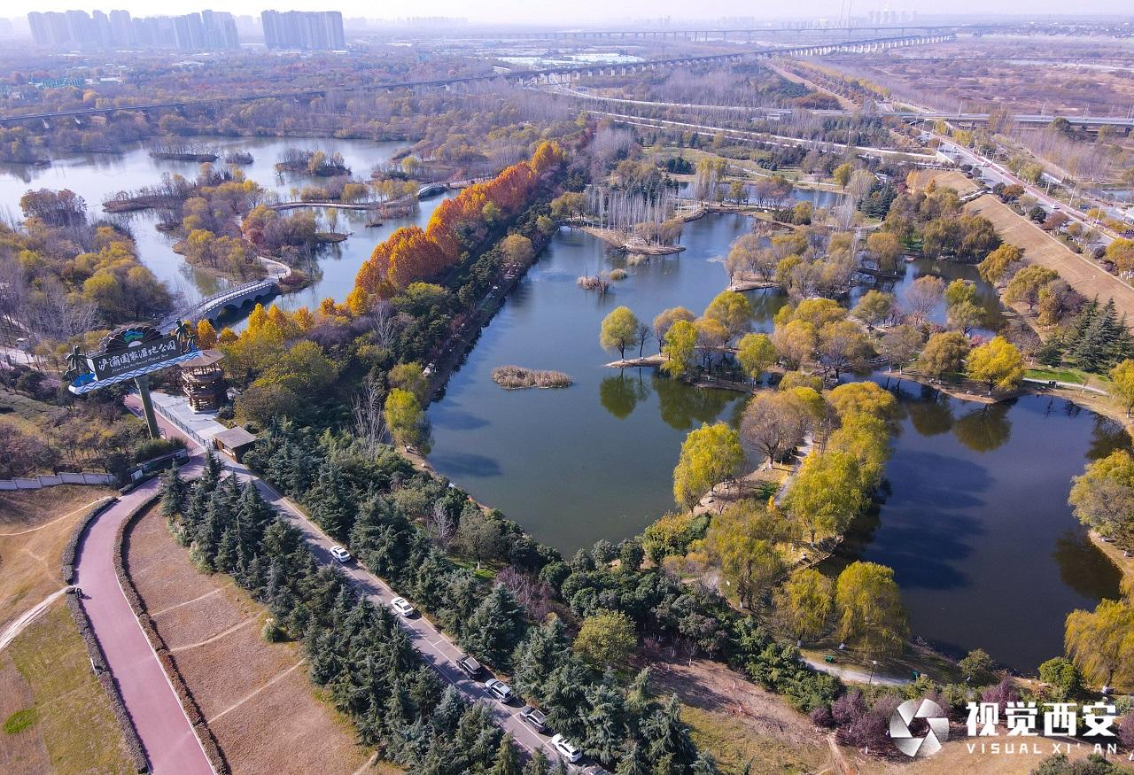 冬日濕地景如畫