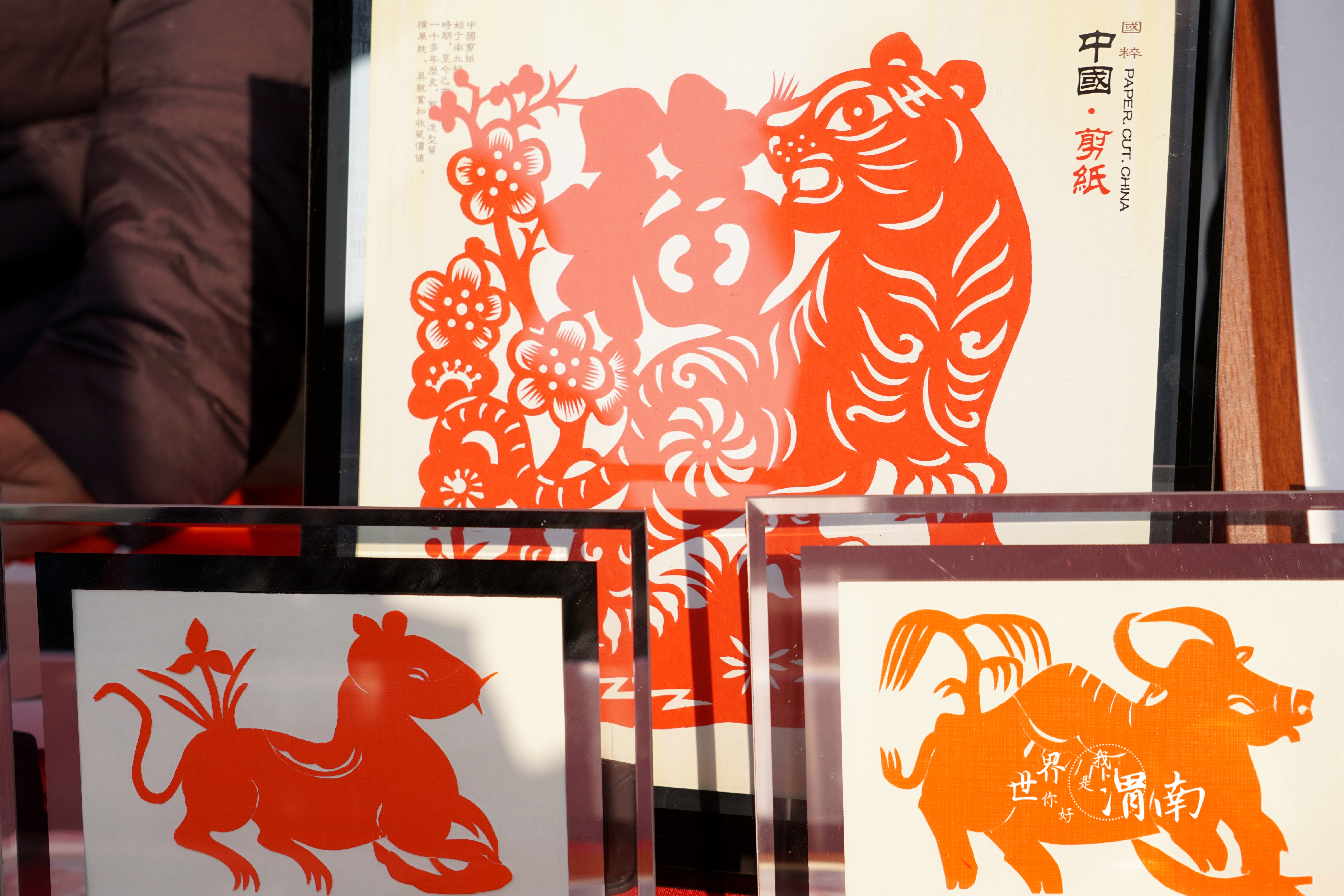 圖集 | 聽鄉音、憶鄉愁 渭南臨渭區2023全國“四季村晚” 精彩上演_fororder_DSC01074