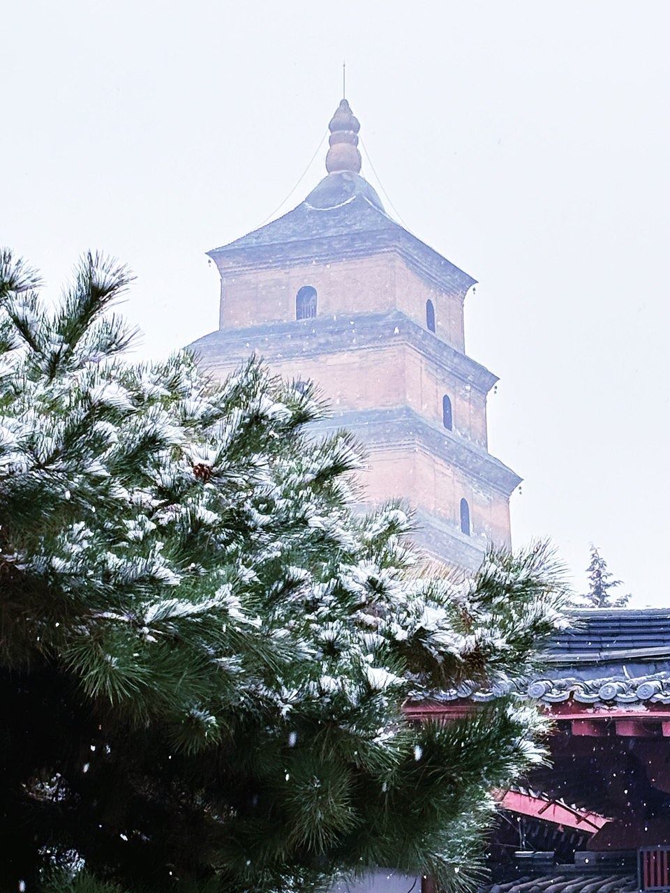 【鏡觀陜西】西安雪景上線 每一幀都想收藏_fororder_微信圖片_20240115170655