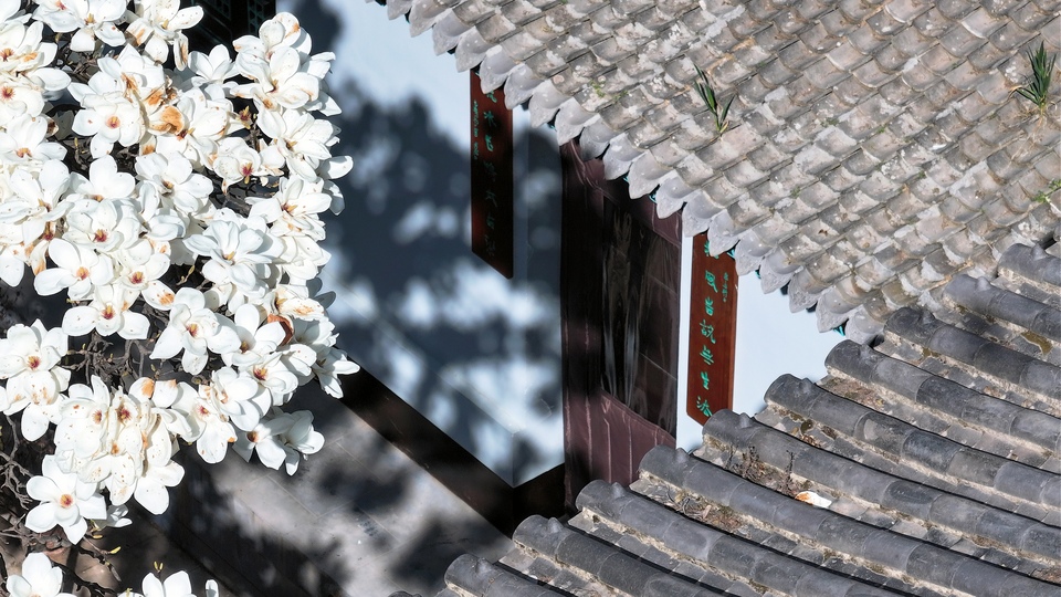 【Charming陜西】_fororder_微信圖片_20240329091843