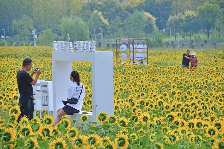 公園裏的治愈係花海