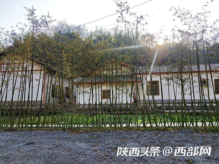 新春走基層｜全域旅遊讓石泉鄉村大變樣 旅遊綜合收入年增20%以上