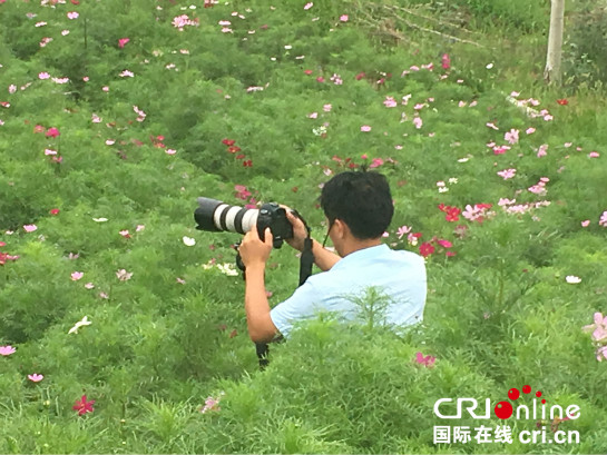 “城市綠肺+城市花園” 西安浐灞生態區開啟“怒放模式”