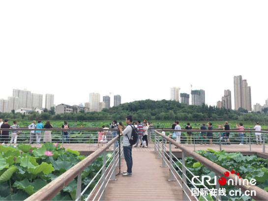 “城市綠肺+城市花園” 西安浐灞生態區開啟“怒放模式”