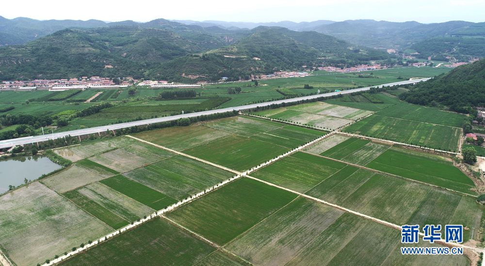 陜西富縣：打造田園綜合體 農旅融合推動鄉村振興