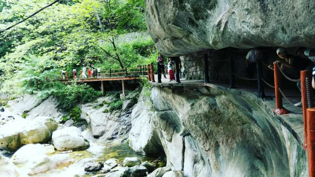 西安太平國家森林公園8月10日啟動第二屆生態音樂節