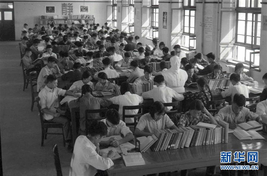 好大一棵樹！——記西安交通大學西遷人