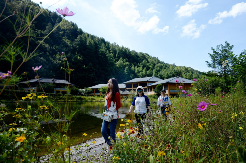 陜西寧陜：把“綠水青山”變成貧困戶的“金山銀山”