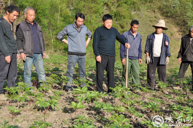（不簽）【攻堅路上黨支部】青春村，有了青春的味道 ——記嵐皋縣堰門鎮青春村第一書記馮開亮