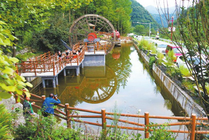 守護綠水青山收穫“金山銀山”