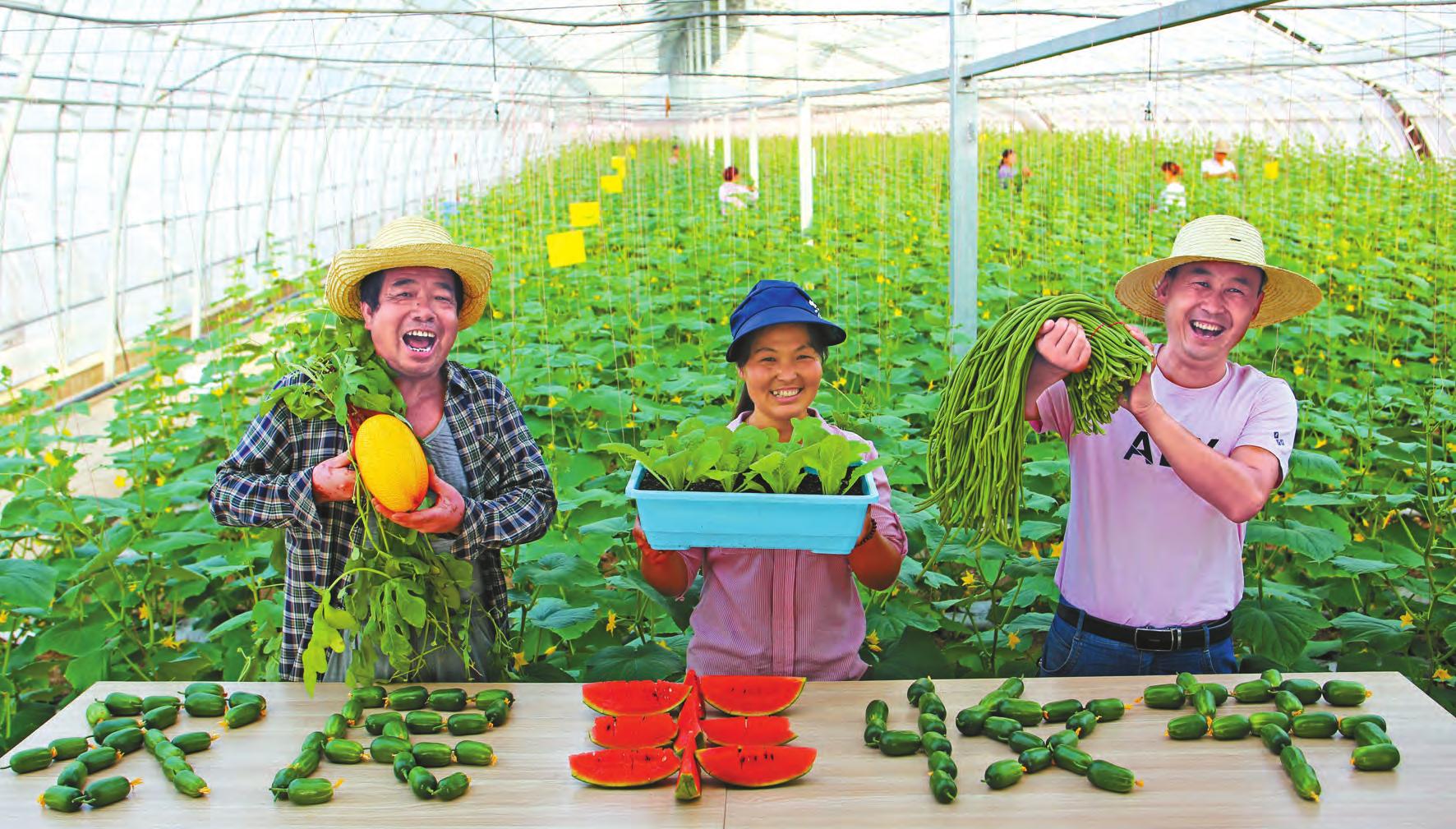9月23日來楊淩過中秋歡慶農民豐收節