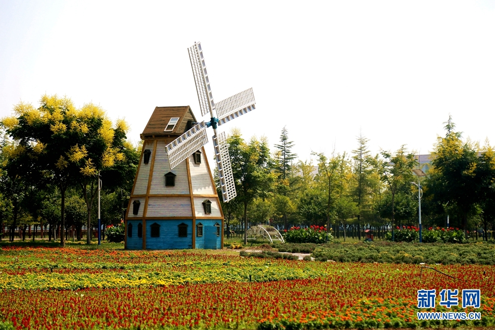 （不簽）涇河新城：菊綻秋景盛 歸心醉田園