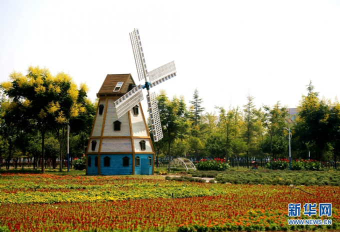 （不簽）涇河新城：菊綻秋景盛 歸心醉田園