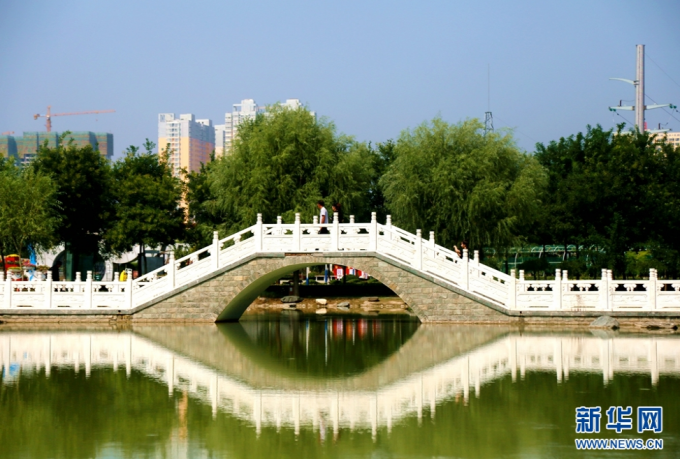 （不簽）涇河新城：菊綻秋景盛 歸心醉田園