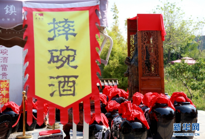 （不簽）涇河新城：菊綻秋景盛 歸心醉田園