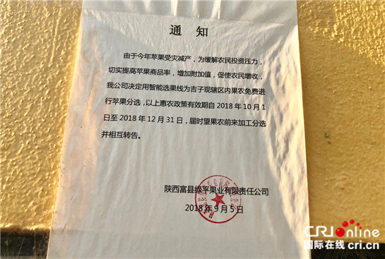 陜西富縣：“整理”出的蘋果産業“附加值”