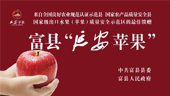 陜西富縣：“整理”出的蘋果産業“附加值”
