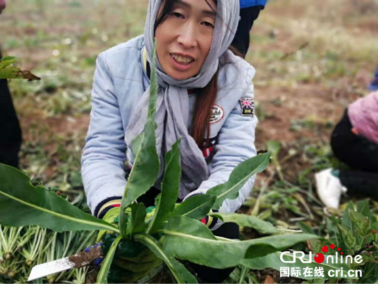 陜西中醫藥大學扶貧實錄: 産學研結合 探求中醫藥扶貧新效應