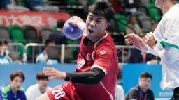 十五運會香港賽區場館巡禮