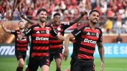 弗拉門戈俱樂部奪得隊史第九個巴甲聯賽冠軍