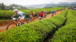 發揮體育獨特作用 助力鄉村全面振興