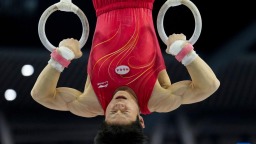 十五運會體操——男子吊環決賽：遼寧隊選手劉洋奪冠