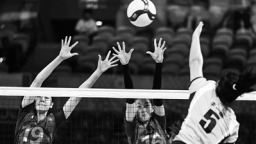 女排“小國手”期待發揮“大作用”_fororder_zgtyb1113003_001_01_b