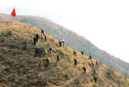 【全民植綠四十載 美麗山西譜新篇】山西省持續推進國土綠化