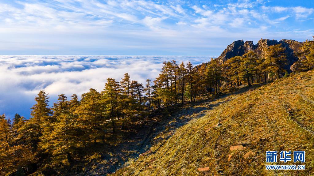 【“飛閱”中國】賞蘆芽秋色 觀漫山雲海_fororder_9