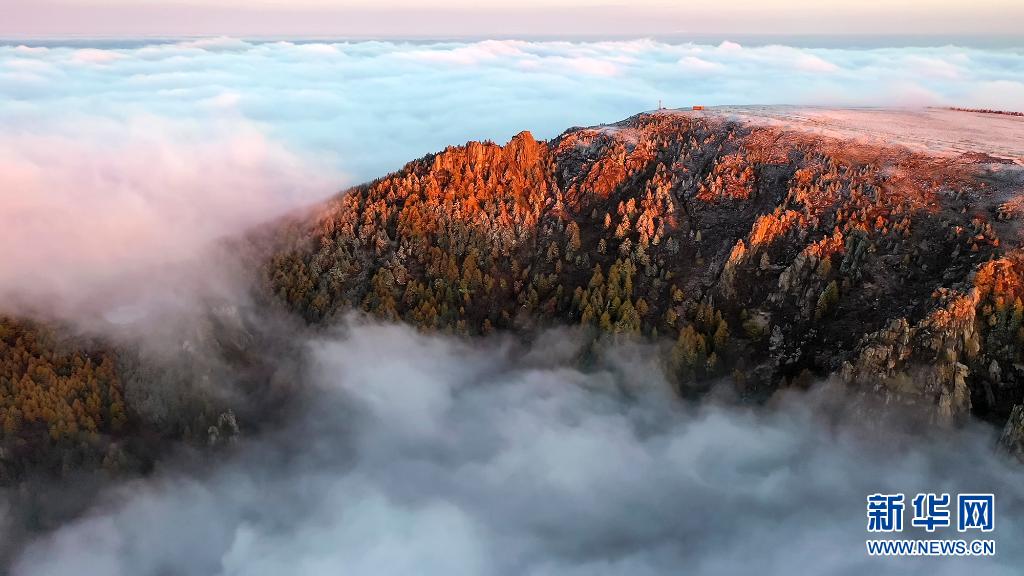 【“飛閱”中國】賞蘆芽秋色 觀漫山雲海_fororder_5