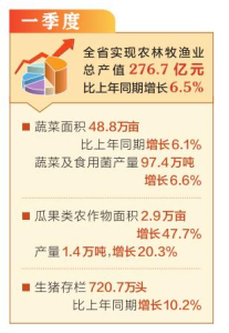 一季度山西省農業生産穩中向好