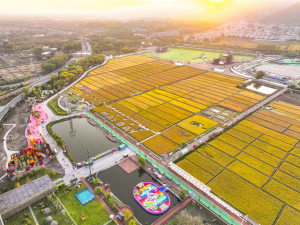 機遇中國·山西到底有多硬核？！| 海外博主徜徉稻田公園 感受自然與藝術融合的魅力