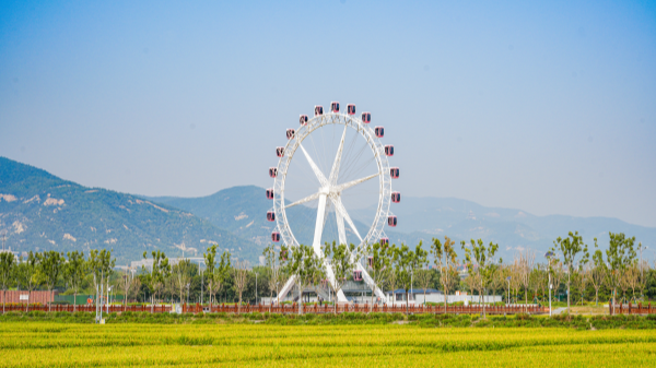 機遇中國·山西到底有多硬核？！| 海外博主徜徉稻田公園 感受自然與藝術融合的魅力