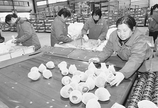 圖片默認標題_fororder_378e633fd5fa69f1bfda752499836bd3_副本