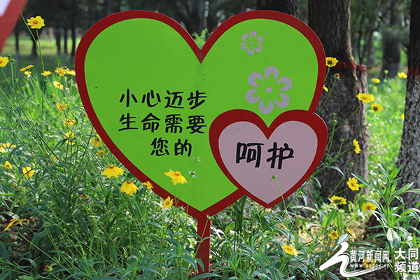 大同文瀛湖生態公園：優化服務 市民點讚貼心